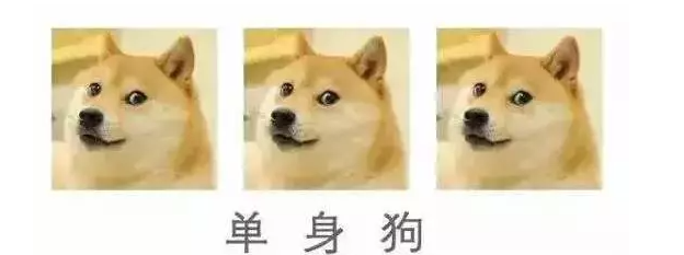 墨尔本单身